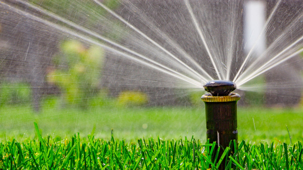Smart irrigation and why its important