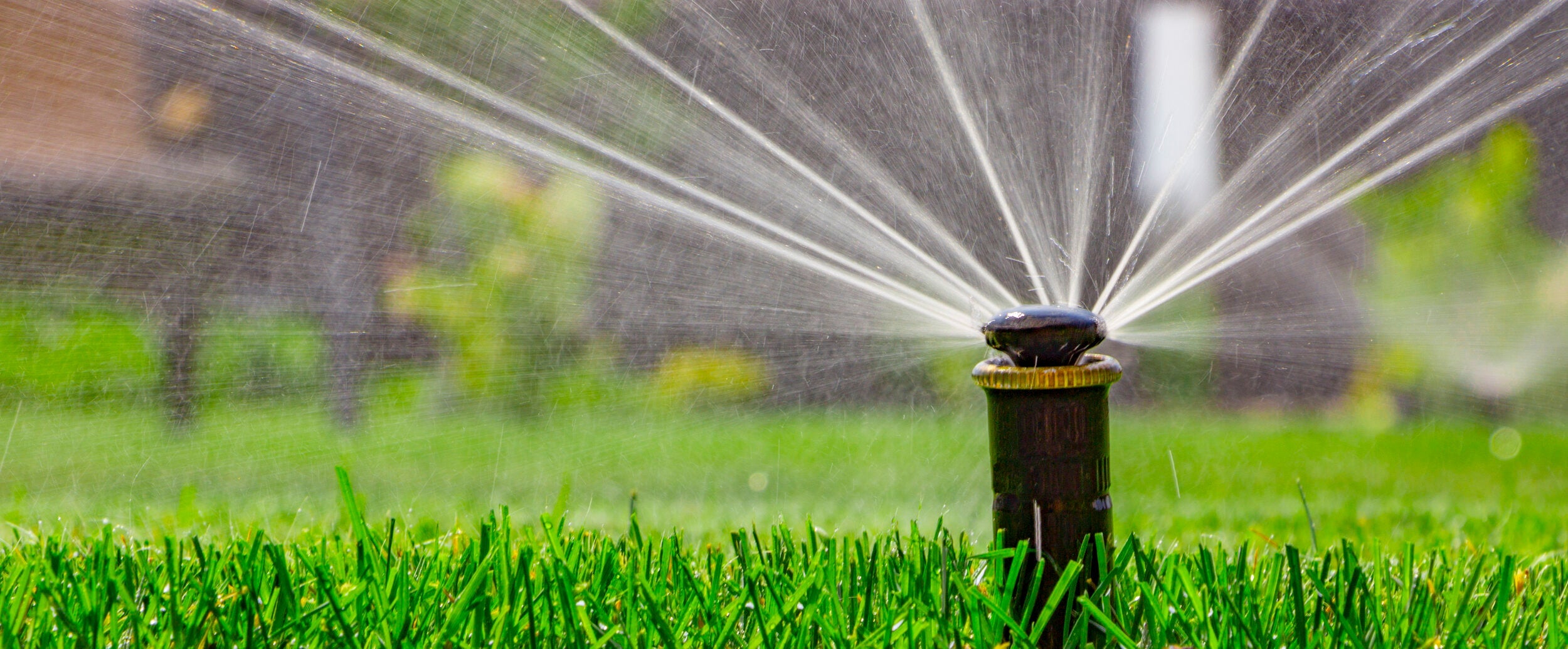 Smart irrigation and why its important