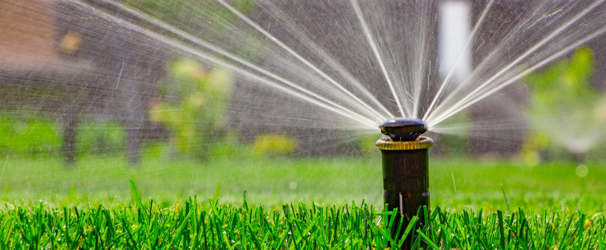 Smart irrigation and why its important